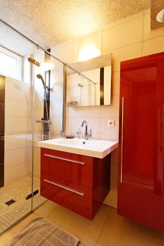 une salle de bain avec un lavabo et une douche dans l'établissement Appartement ' Le Lupulus', à Bilwisheim