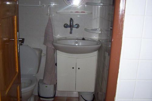 ein kleines Bad mit einem Waschbecken und einem WC in der Unterkunft Privát Mirovice-Březnice in Mirovice