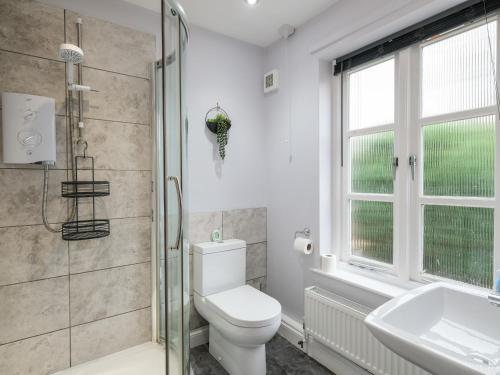 a bathroom with a toilet and a shower and a sink at Poldark Cottage in Charlestown