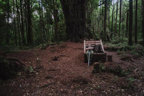 two people sitting on a bench in the woods at Lodge Parque Tepuhueico in Castro