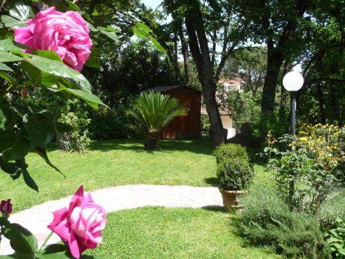 Zahrada ubytování Deliziosa Villa alle porte di Roma