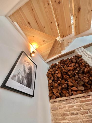 Φωτογραφία από το άλμπουμ του Laura's Haus σε Tudela