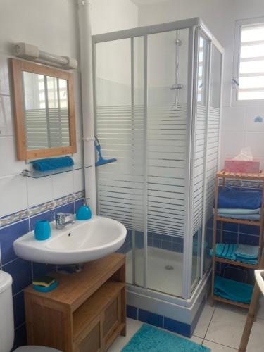 uma casa de banho com uma cabina de duche em vidro e um lavatório. em Martinique trois ilets face à la mer em Les Trois-Îlets
