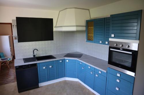 a kitchen with blue cabinets and a sink and a stove at Gîte Nature et Calme du Travers in Valaurie