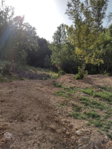a dirt road with trees in the background at Gîte Nature et Calme du Travers in Valaurie