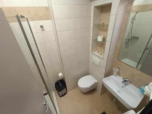 a small bathroom with a toilet and a sink at C&C Mamaia Studio in Mamaia