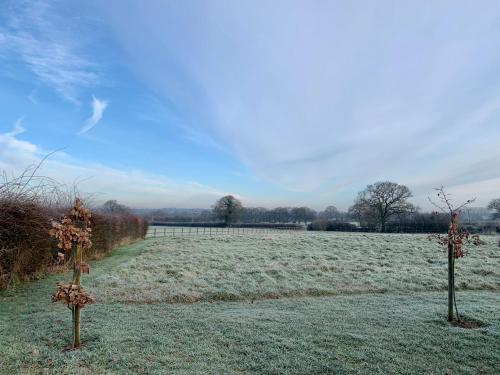 two trees in the middle of a field at Coursehill Barn in Witney