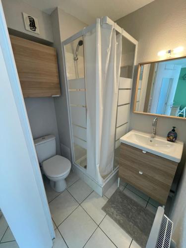 Kúpeľňa v ubytovaní Charmant Appartement Cosy sur Sète proche de toutes commodités, Parking Privé