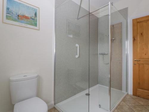 a glass shower in a bathroom with a toilet at Rectory Farm Lodge in Queen Camel