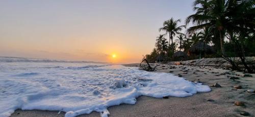 a beach with palm trees and the ocean at sunset at Cabañas San Sebastian in Palomino