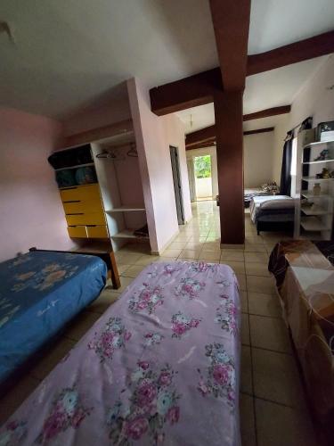 a living room with a bed and a large rug at Hotel Los Chow Chow in Posadas