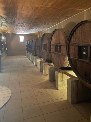 eine Reihe von Weinfässern in einem Weinkeller in der Unterkunft Glamping Miraflores in Vicuña