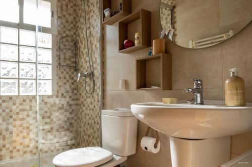 a bathroom with a toilet and a sink and a shower at A los Ojos del Río Duero in Zamora