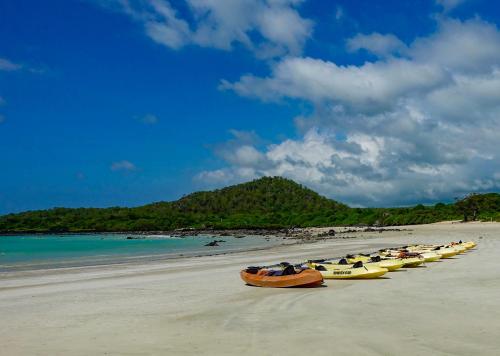 a line of kayaks lined up on a beach at Enchanted Galapagos Lodge in Puerto Ayora