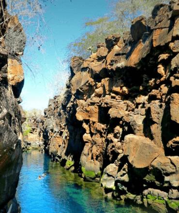 a painting of a river next to a rocky cliff at Enchanted Galapagos Lodge in Puerto Ayora