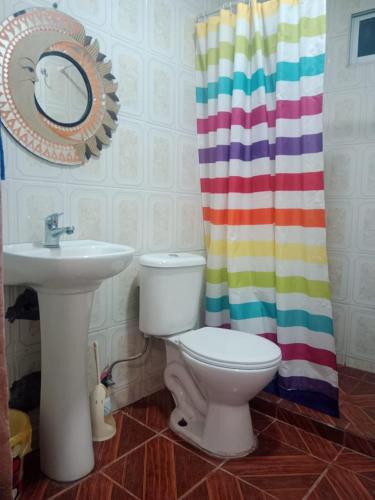 łazienka z umywalką, toaletą i zasłoną prysznicową w obiekcie Habitación sol naciente peuco w mieście Calama