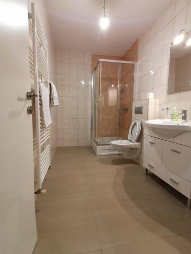 a bathroom with a shower and a toilet and a sink at Delux Apartment in Sarajevo