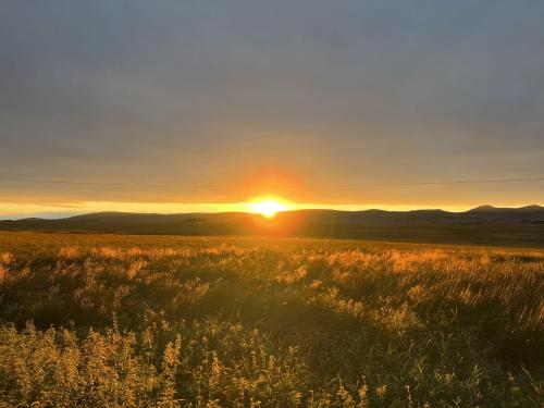 a field of grass with the sunset in the background at South Black Hill in Penicuik