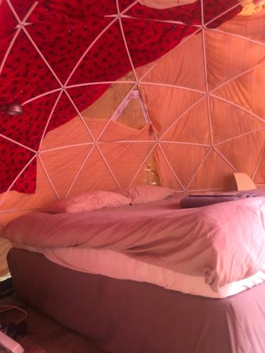 a bed in a tent with a red and white wall at Vintage Dome Igloo tent, Lange Haven Schiedam in Schiedam