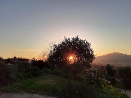 un coucher de soleil derrière un arbre sur une colline dans l'établissement Le nid d'Aigle - proche Ajaccio, à Cuttoli-Corticchiato