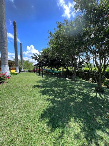 a grassy area with trees and a grassy field at Alojamiento Campestre Hawaii in Montenegro