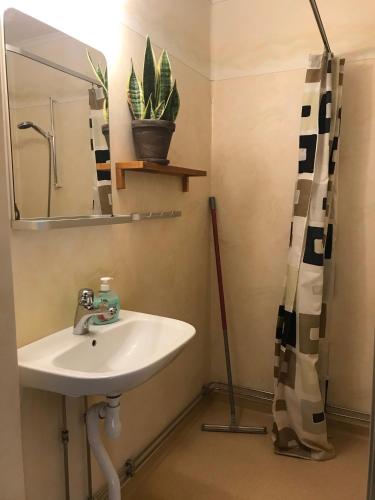 a bathroom with a sink and a mirror and a plant at Karaby Gård, Country Living självhushåll in Kristinehamn
