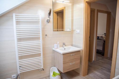 ein Bad mit einem Waschbecken und einem Spiegel in der Unterkunft Dům v Beskydech – Trojanovice in Trojanovice