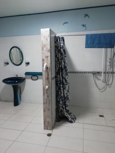 a bathroom with a shower and a sink at Appartement à 5 min à pied du centre ville et des sentiers, 6 personnes et 2 SDB in Fraize