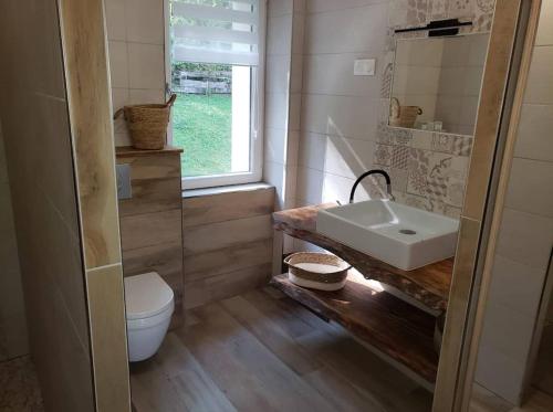 a bathroom with a sink and a toilet at Le bord de Sarre in Sarreguemines