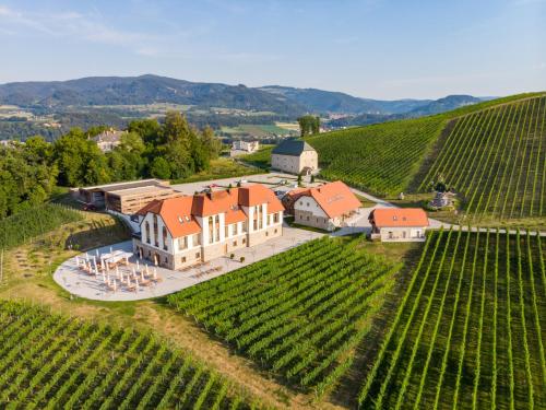 an aerial view of a winery in a vineyard at Familienapartment mit Pool, Spa und Panoramablick in Zirkitz