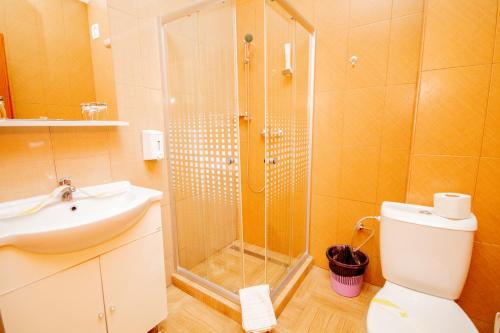 a bathroom with a shower and a toilet and a sink at Mai Danube in Eşelniţa