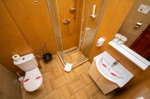a bathroom with a toilet and a sink and a shower at Mai Danube in Eşelniţa