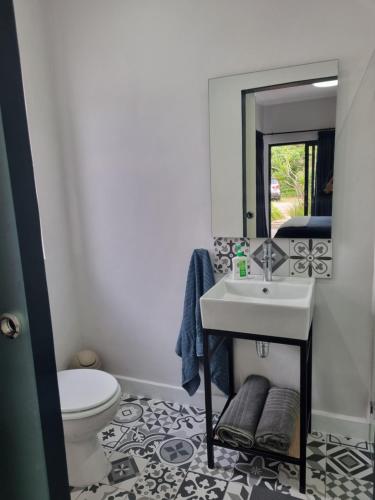 a bathroom with a sink and a toilet and a mirror at 12onParkesLane in Knysna