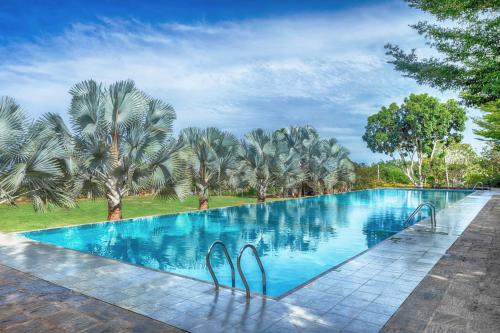 a large swimming pool with palm trees in the background at Birds Resort Hambantota in Hambantota