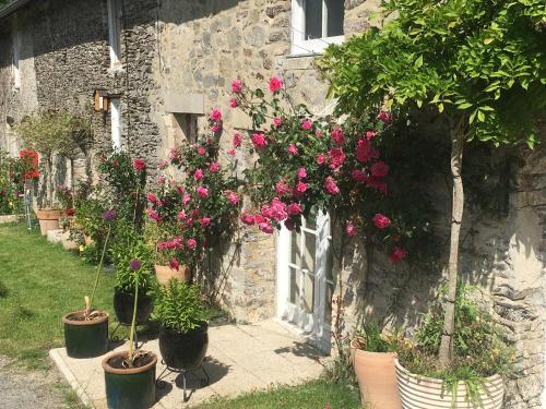 a group of flowers in pots on the side of a building at Chez Thomas 7 Route du Monde Ancien in Saint-Georges-dʼAunay