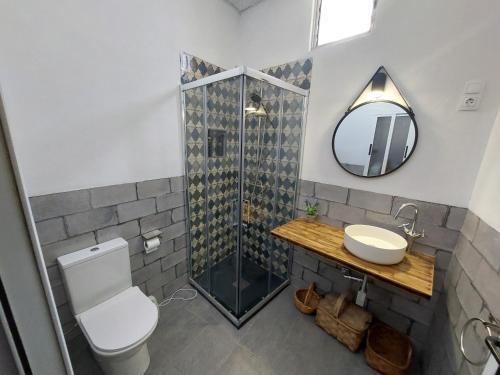 La salle de bains est pourvue d'une douche, de toilettes et d'un lavabo. dans l'établissement apartamentos fuente nueva sande estudio, à Cáceres