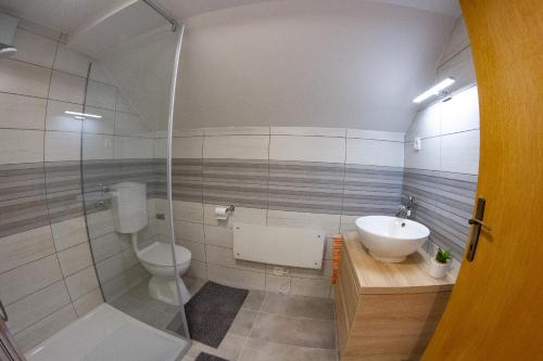 a bathroom with a shower and a toilet and a sink at Andy's Holiday Home with HotTub & Sauna in Podbočje