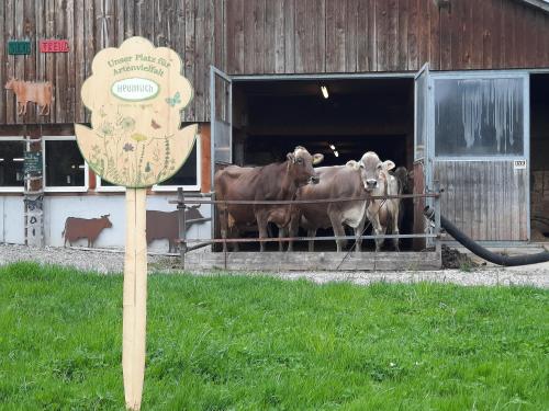アパートメントの敷地内または近くにいる動物