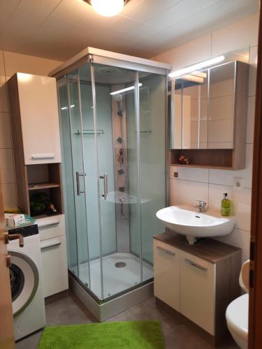 uma casa de banho com uma cabina de duche em vidro e um lavatório. em Vögelhof em Doren