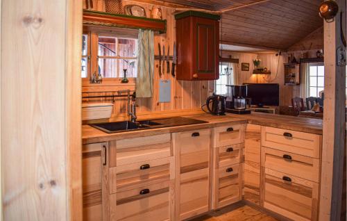 Η κουζίνα ή μικρή κουζίνα στο Cozy Home In Tuddal With Kitchen