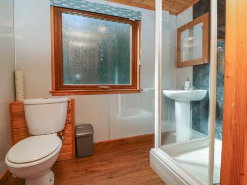 a bathroom with a toilet and a sink and a window at Chalet Lodge Bunks L1 in Ilfracombe