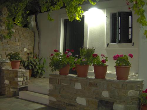 a group of potted plants sitting on a brick wall at Eleni Dream Village in Parikia
