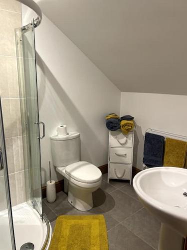 a bathroom with a toilet and a sink at Open plan area sleeping up to 2 adults & 2 children in Bideford
