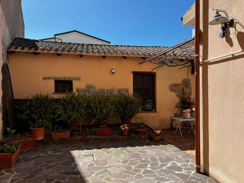une vue sur l'extérieur d'une maison avec des plantes en pot dans l'établissement Sardegna: mare e montagna IUN R0346, à Oliena