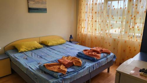 Gallery image of Къща за гости Алекс in Sinemorets