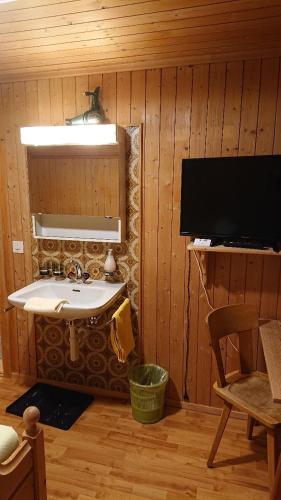 Una televisión o centro de entretenimiento en Gasthof Surselva