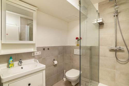 y baño con ducha, aseo y lavamanos. en Apartement Aposto 1 en Oberderdingen