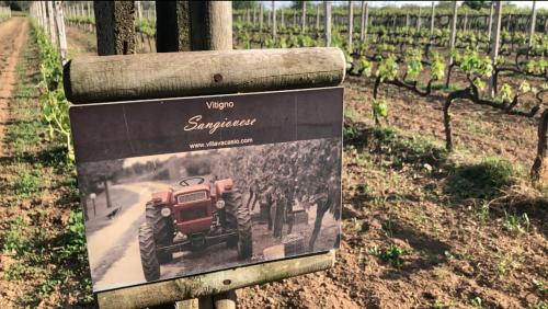 a sign with a picture of a tractor in a vineyard at Agriturismo Eco-Bio Villa Vacasio in Pitigliano