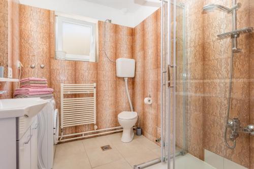 une salle de bain avec douche et toilettes dans l'établissement Apartman Ponte Mohito, à Punat