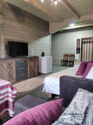 a room with a bed and a flat screen tv at BRB Park Hotel in Vizhenka